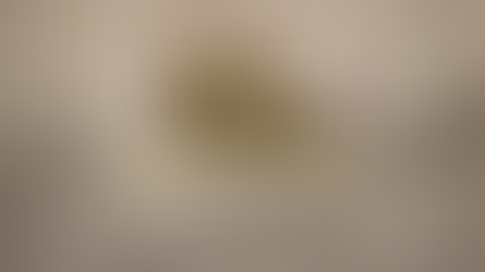 Primeiro Bota Fora de 2026 inicia dia 23 na cidade de Carlos Barbosa e em 9 de março no interior