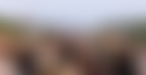 Natal nos Vinhedos reúne mais de 35 experiências enogastronômicas a partir desta sexta-feira