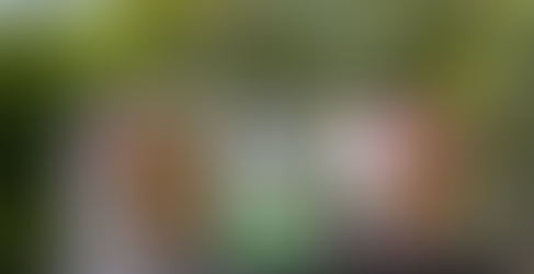 Garibaldi recebe pelo segundo ano a exposição “Pipa Parade”