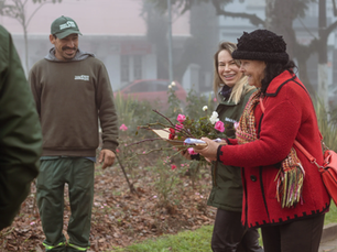 Secretaria de Meio Ambiente promove entrega de mudas de rosas até esta quarta-feira