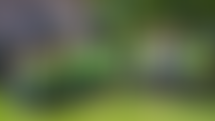 AAMA celebra primeiro ano de atuação e formaliza constituição como entidade na Serra Gaúcha 