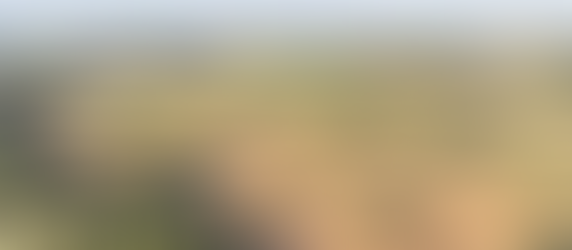 Dez empresas participam da licitação para construir a primeira etapa do Parque Rural