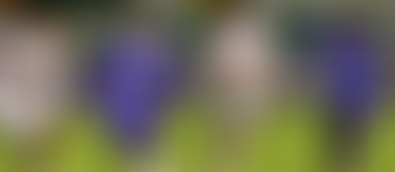 Esportivo mantém 11ª colocação e encara reta final decisiva na luta por vaga no mata-mata da Série A2