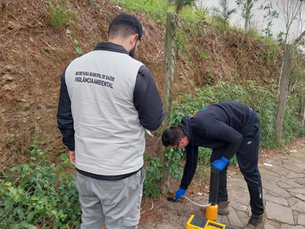 Prefeitura segue com ações preventivas para controle de roedores