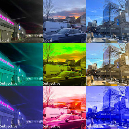 Grid of photographs comparing local color and symbolic color using digitally altered images with different color overlays.