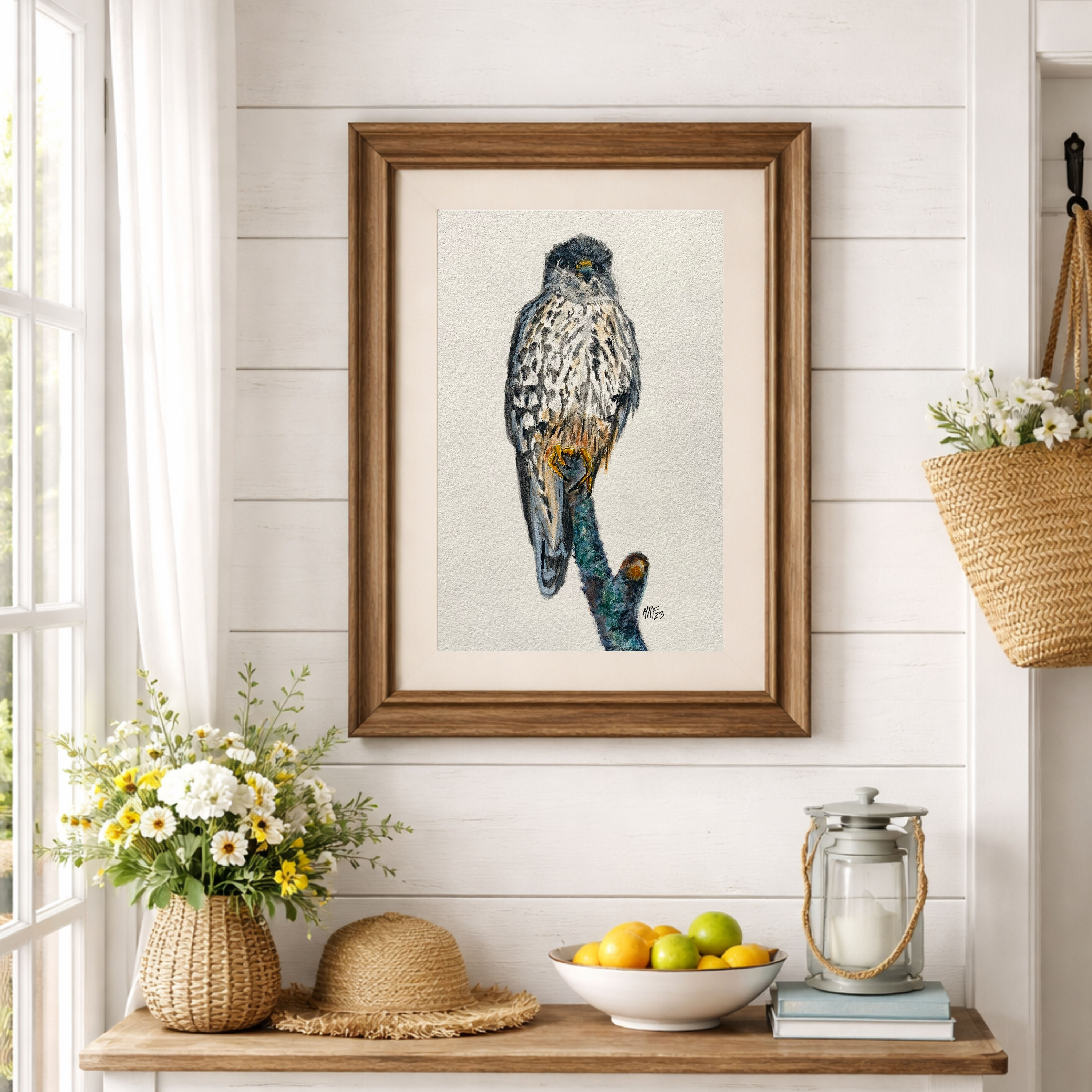 Merlin Falcon Bird of Prey Watercolor Art Print