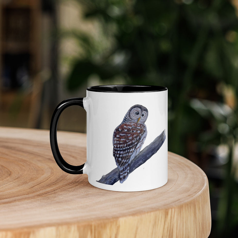 Thumbnail: Barred Owl Ceramic Mug