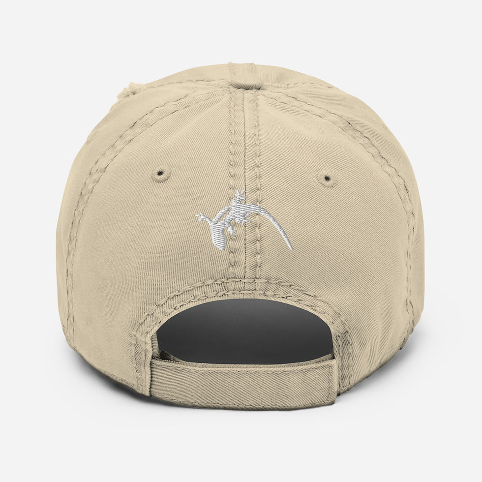 Thumbnail: Take A Hike Distressed Dad Hat