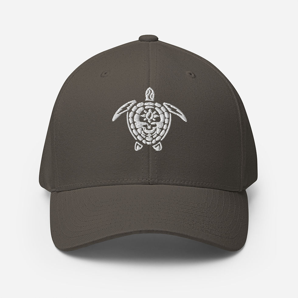 Thumbnail: Steal Your Turtle Structured FlexFit Twill Cap
