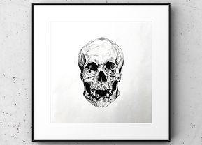 skull.JPG