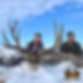 IMG_6063.PNG