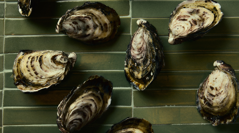 Haven_Oysters_3000x1681px.png