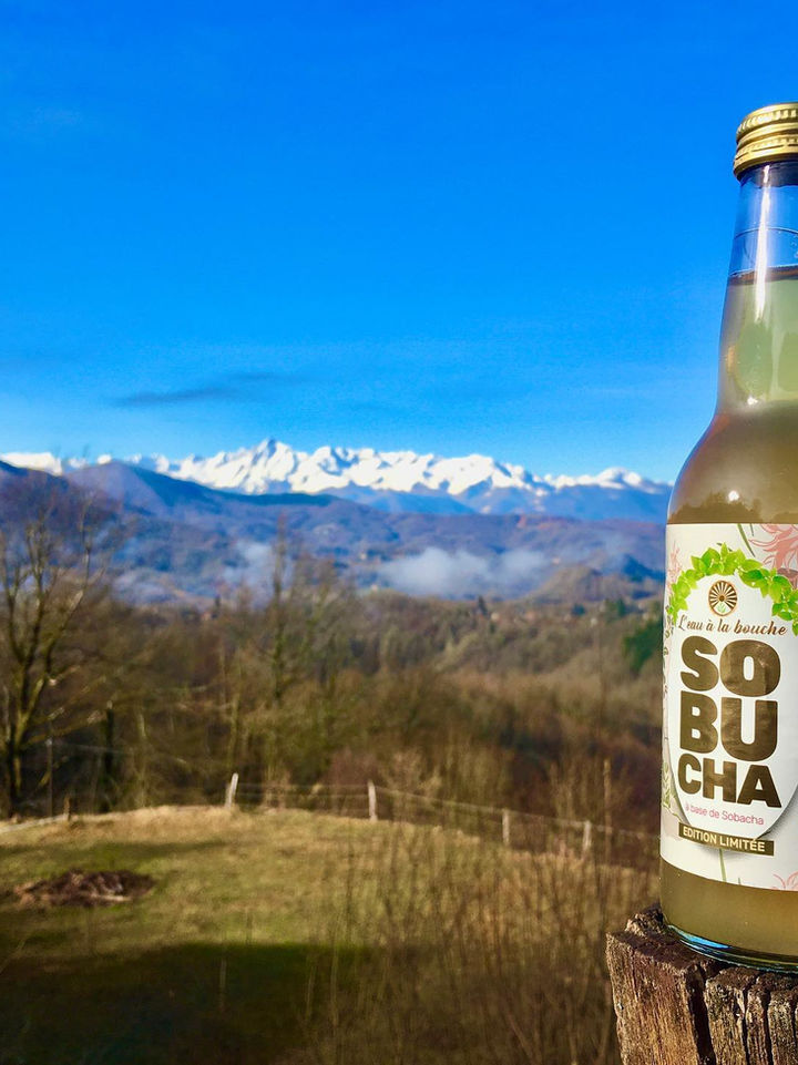 Création graphique étiquette kombucha - L'eau à la bouche - Sobucha