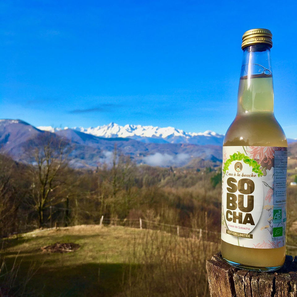 Création graphique étiquette kombucha - L'eau à la bouche - Sobucha
