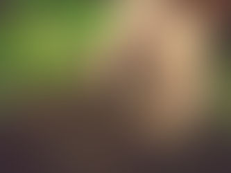 Subdoshas & the Earth Element