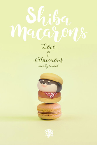 Shiba Macarons Blind Box 柴犬マカロン フィギュア Amazon.co.jp: Shiba Macarons Blind Box 柴犬マカロン
