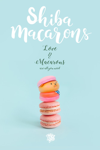 Shiba Macarons Blind Box 柴犬マカロン フィギュア Amazon.co.jp: Shiba Macarons Blind Box 柴犬マカロン