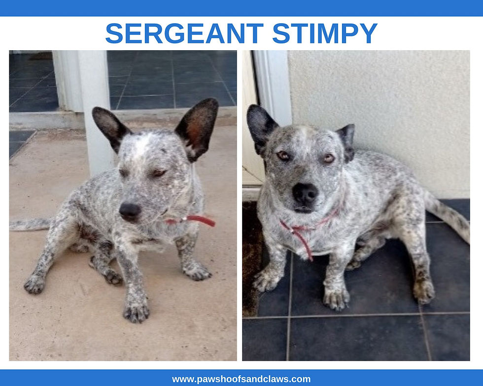 Sergeant Stimpy