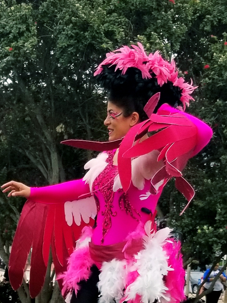 Flamingos