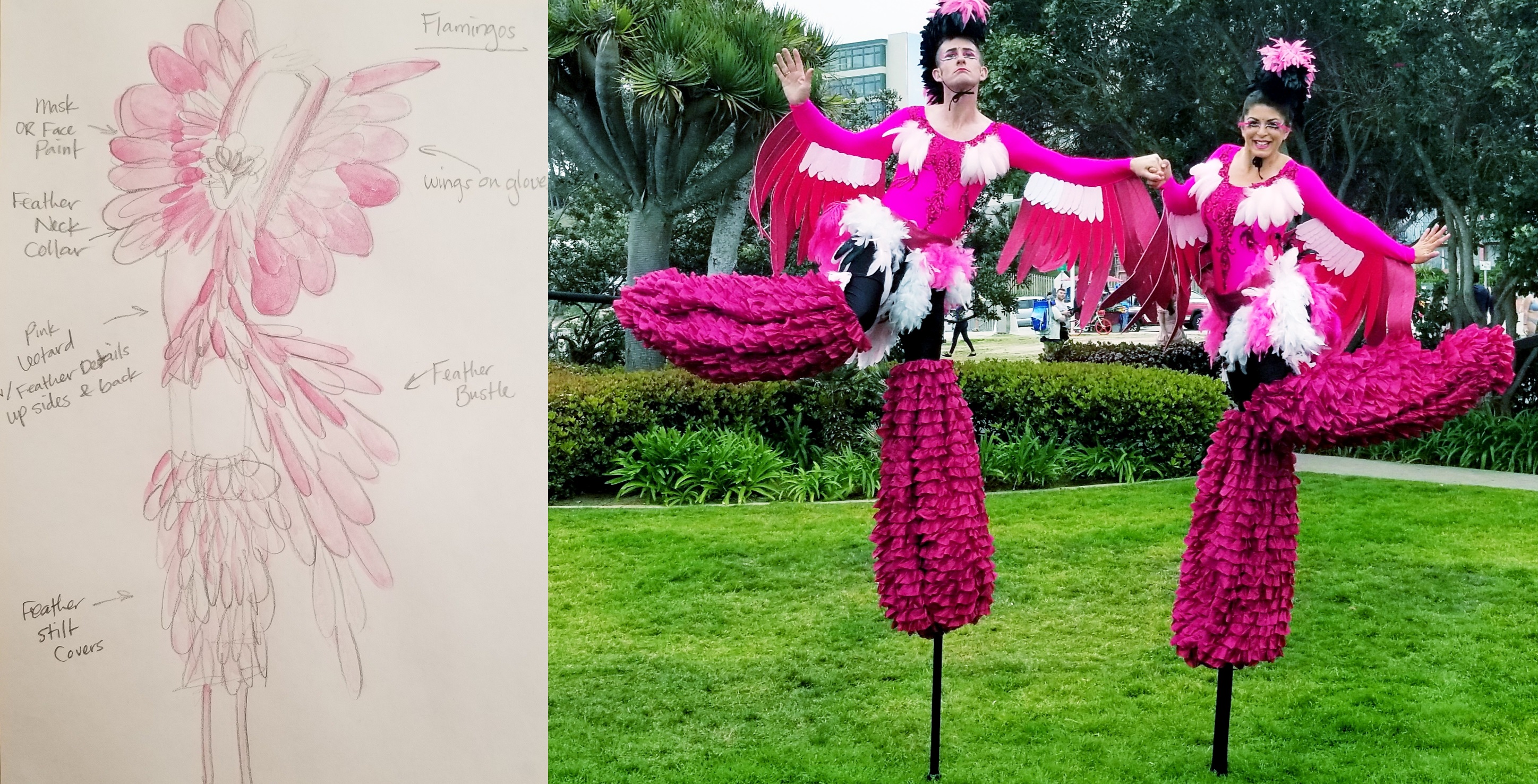 Flamingos