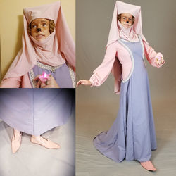 Maid Marian - Disney's Robin Hood