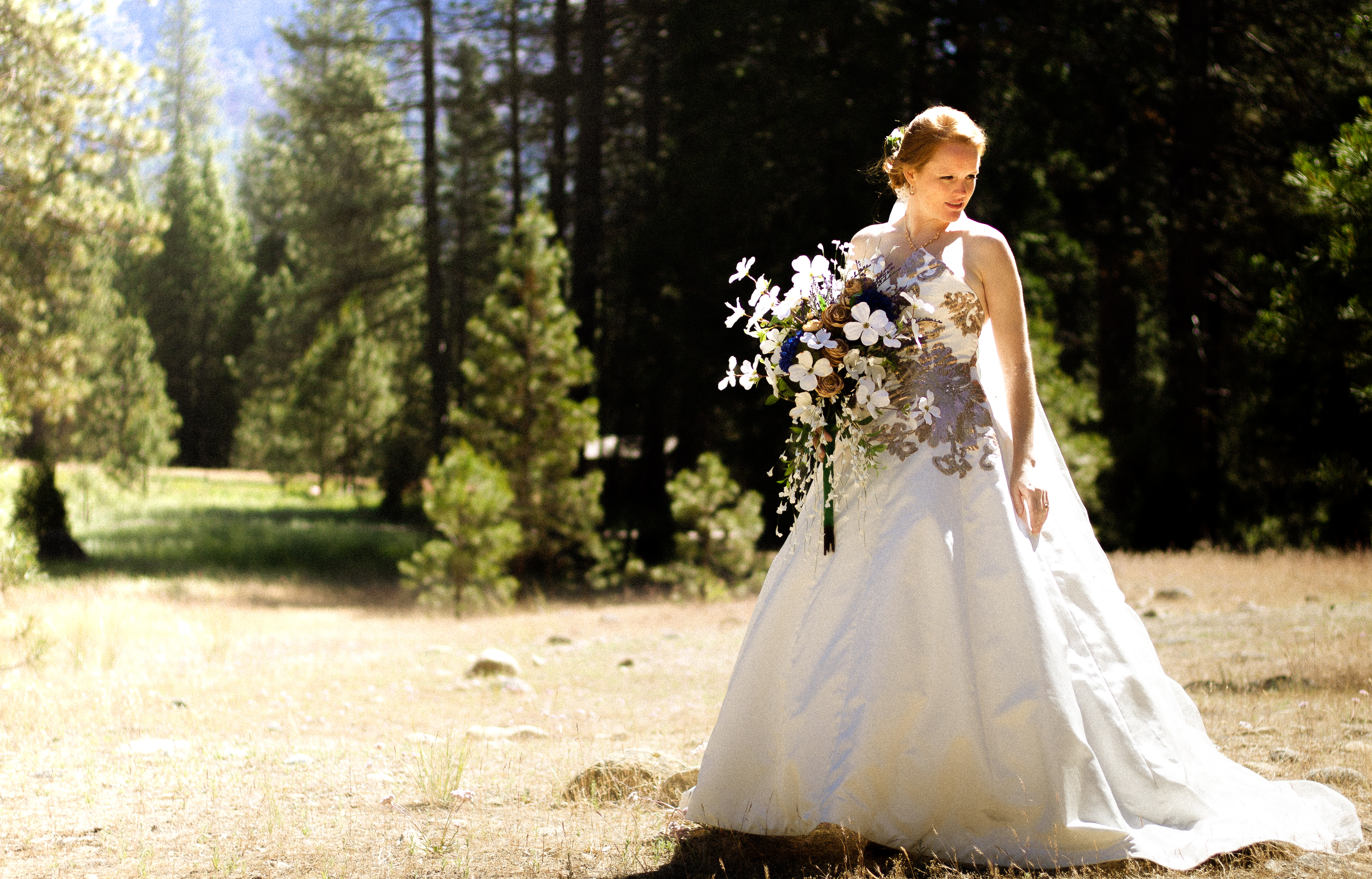 Yosemite's June Bride