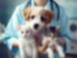 AdobeStock_646171429.jpeg
