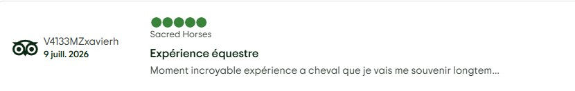 tripadvisor2.jpg