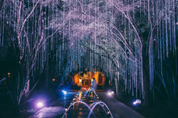 Luxury wedding planners in Marbella and