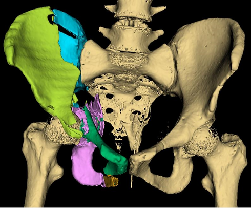 Colourful Hip V01.PNG