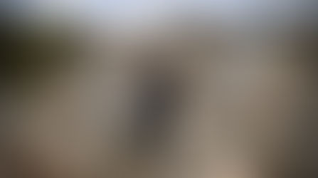 HAUT-KARABAKH : VERS UN APAISEMENT DU CONFLIT APRES LE CESSEZ-LE-FEU ?