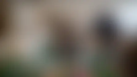 RÉSUMÉ DE LA CONFÉRENCE "LA PRECARITE ALIMENTAIRE: LES MOYENS D'ACTIONS" - PAR ACTION CONTRE LA FAIM