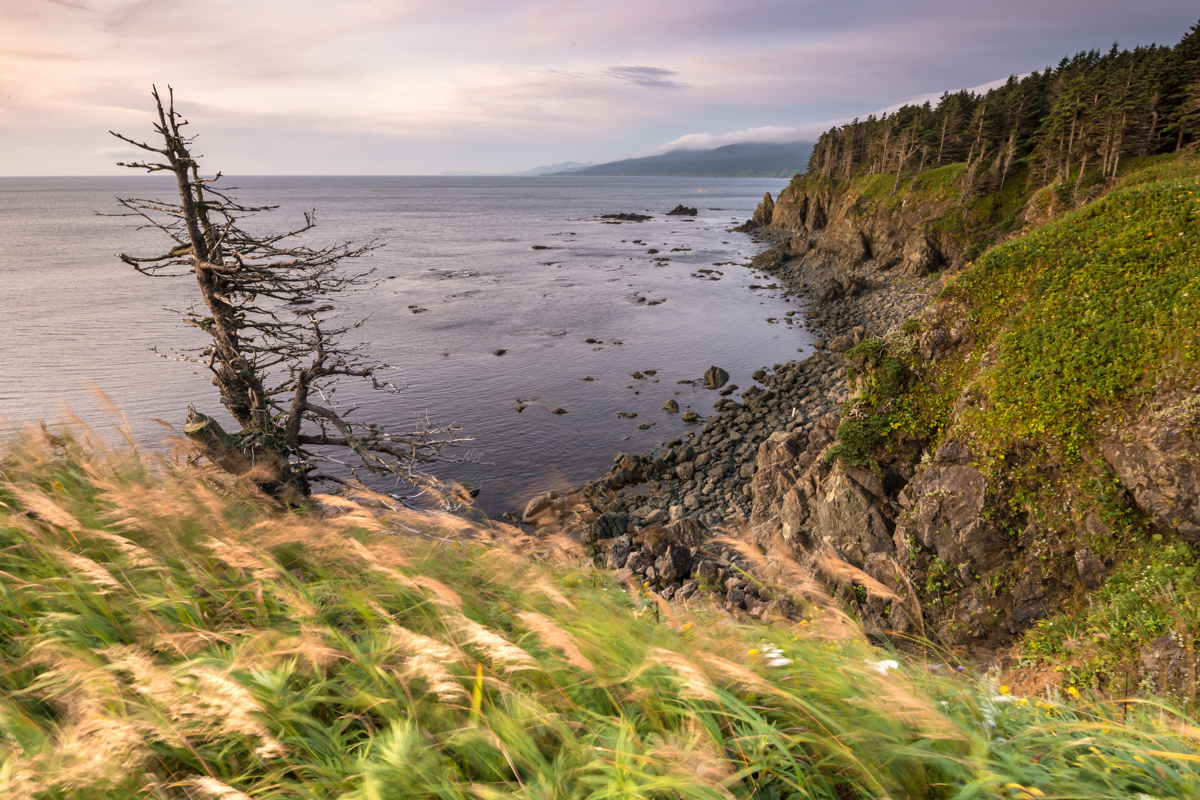 Остров сахалин город холмск. Сахалин год. Сахалин год. Мыс симау сахалин. Южно-сахалинск с высоты.