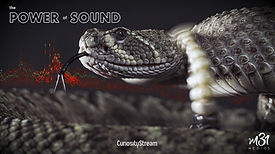 6_POWERsound copy.jpg