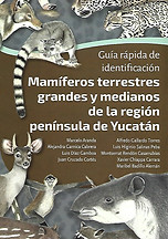 Peninsula.jpeg