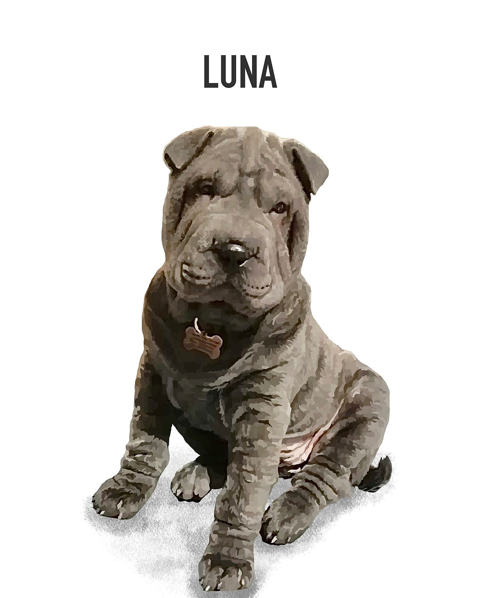 Luna