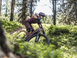 Person riding an ebike through the forest.
