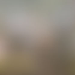 How the AHSAA Top 10 Did This Week