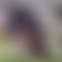 Who Does the AHSAA Top 10 Play This Week?