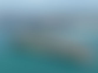 ട്രിവാൻഡ്രം പോർട്ട് വിഴിഞ്ഞം വീണ്ടും റെക്കോർഡ് ഇട്ടു, ഓഗസ്റ്റ് മാസം കൈകാര്യം ചെയ്തത് 1,18,943 TEU കണ്ടെയ്നറുകൾ