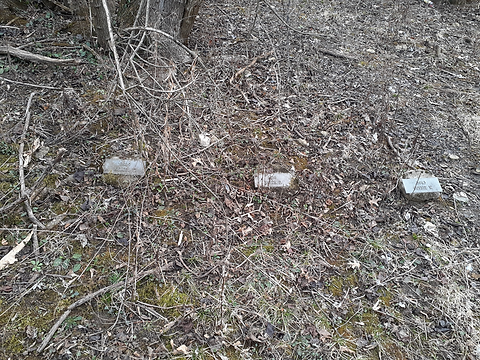 graves.png