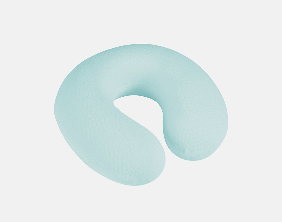 Travel Pillow