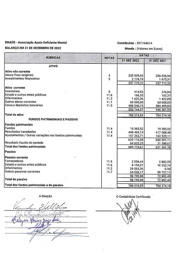 DEMONSTRAÇÕES FINANCEIRAS EMAÚS_2022_page-0002.jpg