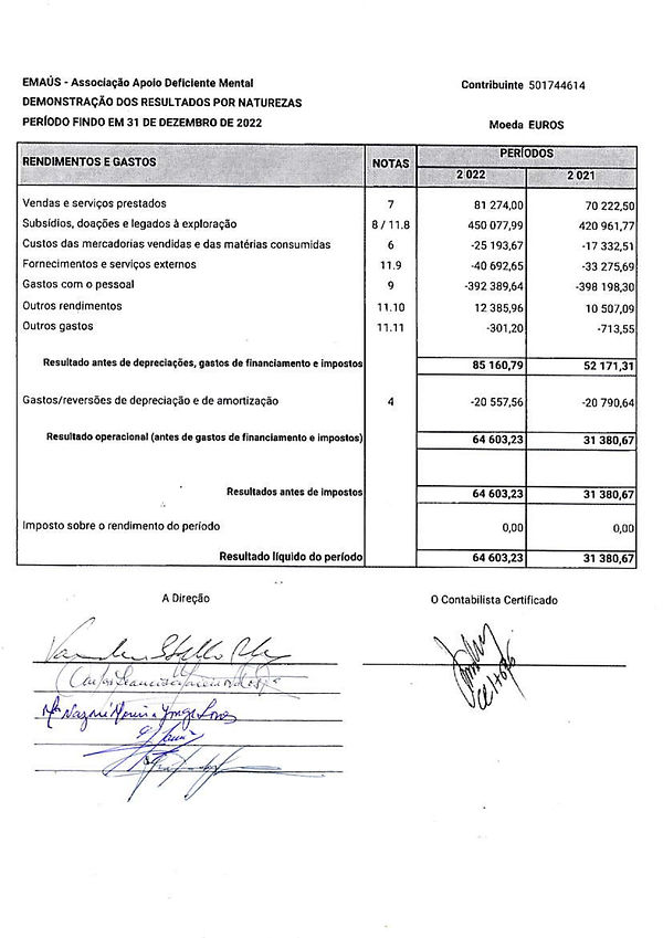 DEMONSTRAÇÕES FINANCEIRAS EMAÚS_2022_page-0003.jpg