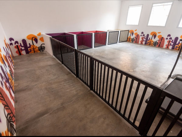 WhatsApp Image 2023-01-11 at 12.46.50 (1).jpeg