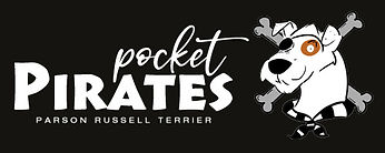 pocket-pirates-logo-gross_edited.jpg