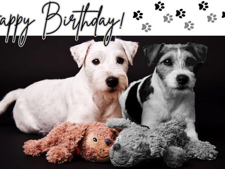 Happy Birthday!