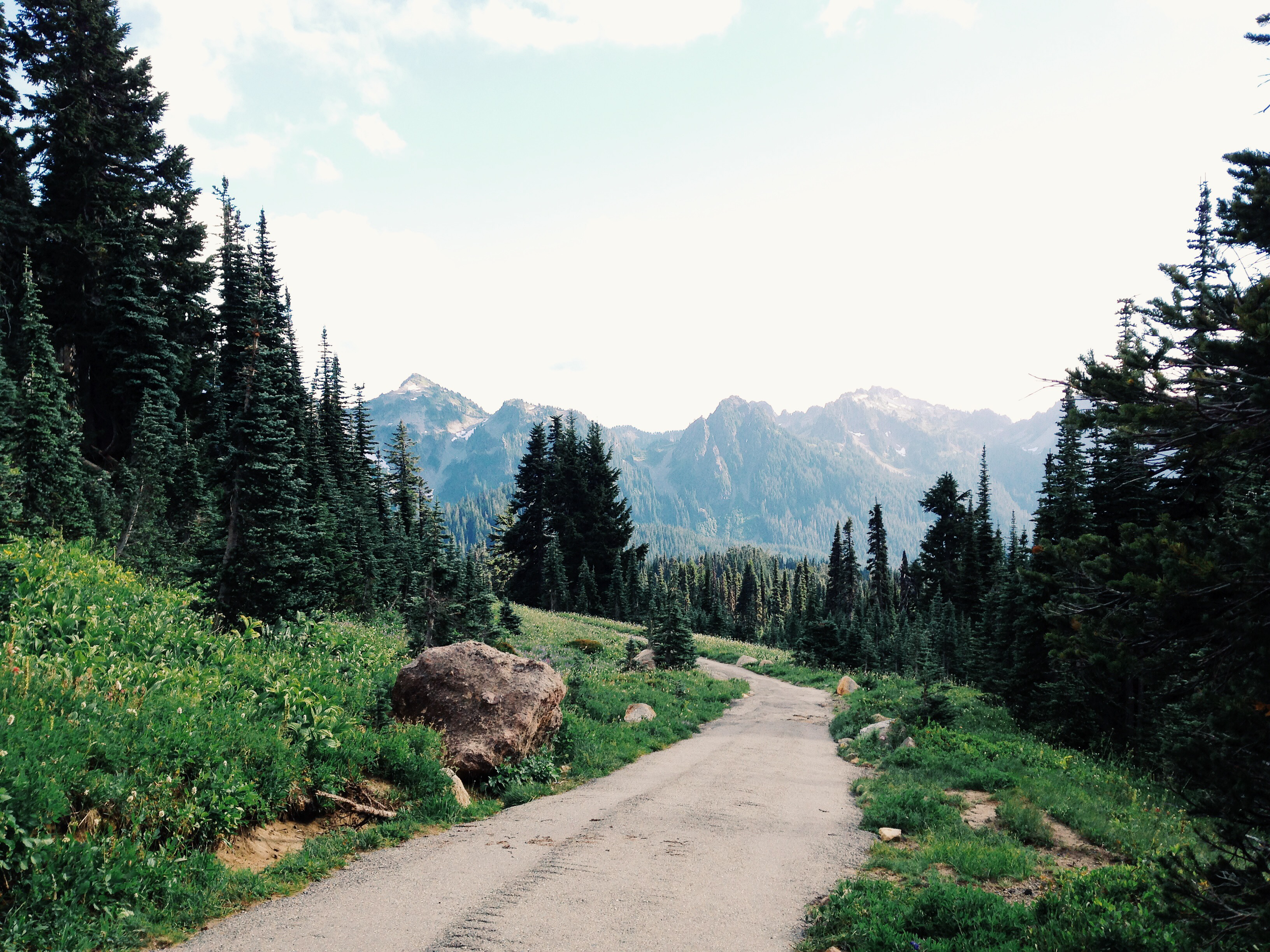 Adopt A Trail