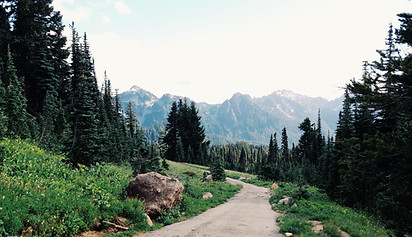 Mountain Path