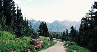Chemin de la Montagne